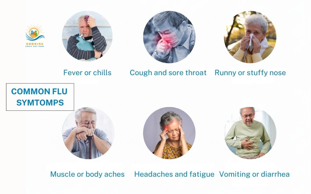 What is influenza (the flu)?
