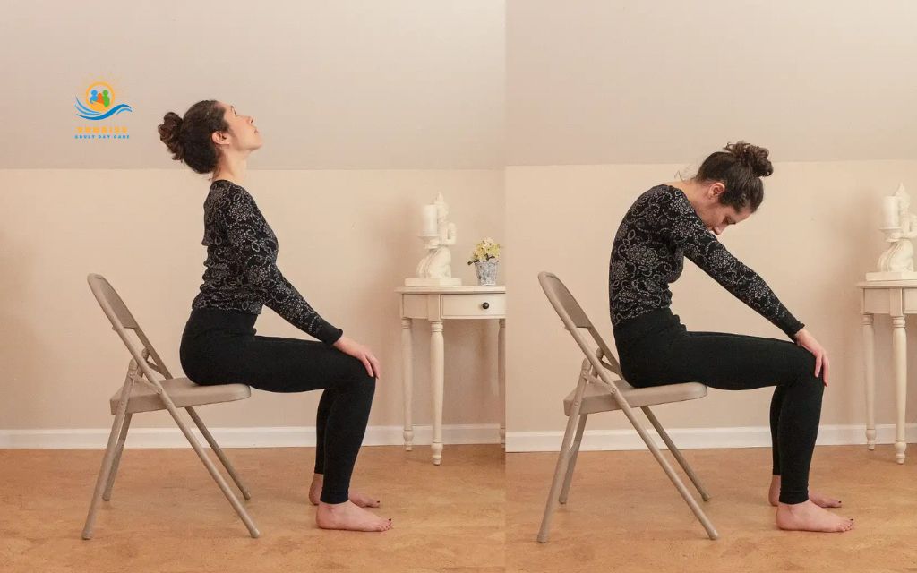 yoga poses for seniors: Seated cat–cow (spinal flex)