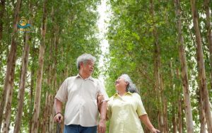 Walking for seniors: 9 key benefits + how to start safely