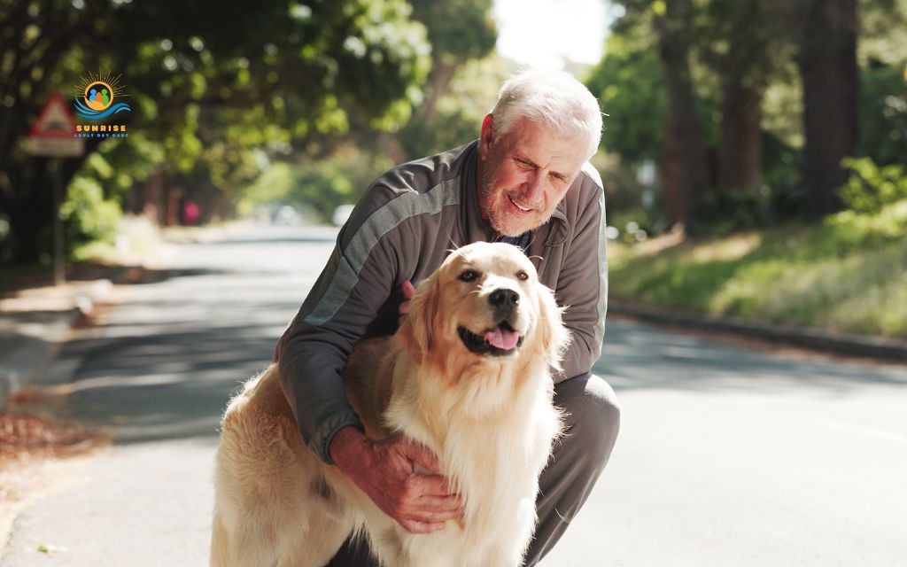 27 best dog breeds for elderly people that are easy to care