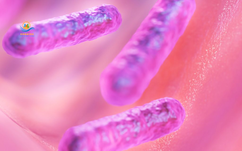 Changes in gut bacteria