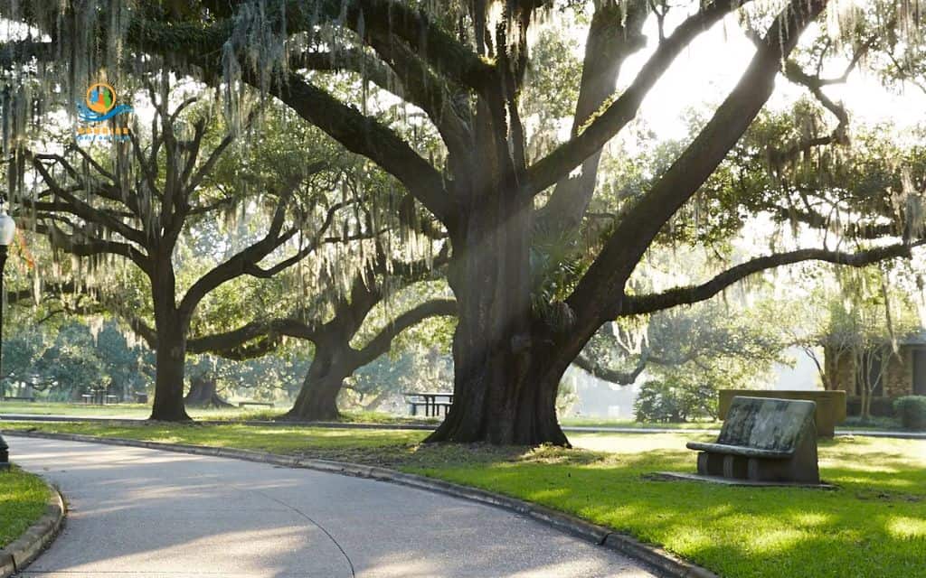 hiking for seniors: City Park