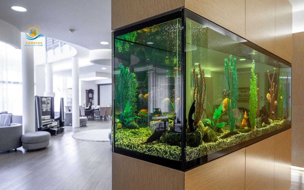 Benefits of aquariums for assisted living