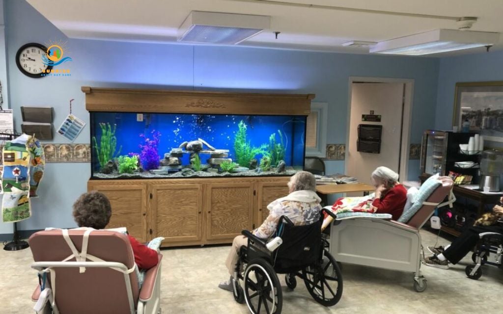 Environmental and lifestyle benefits