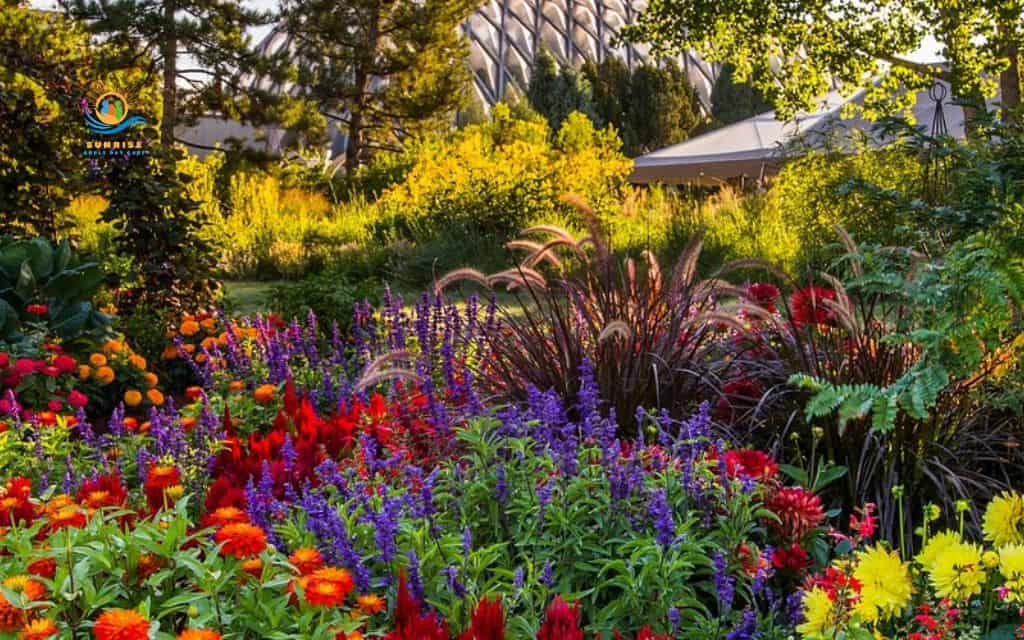 Explore Denver Botanic Gardens