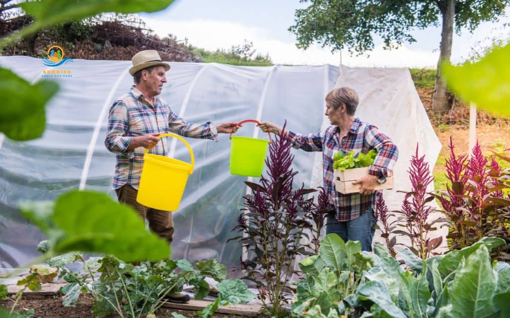 Recreational and social activities