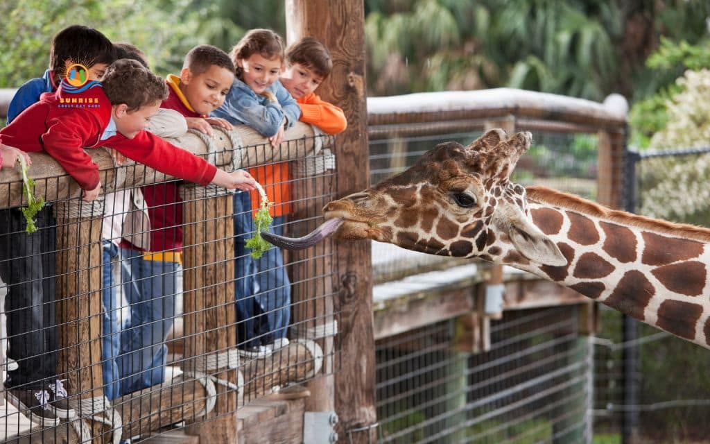 things to do with grandkids: Visit a zoo or aquarium