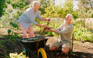 50+ independent living activities every senior should try