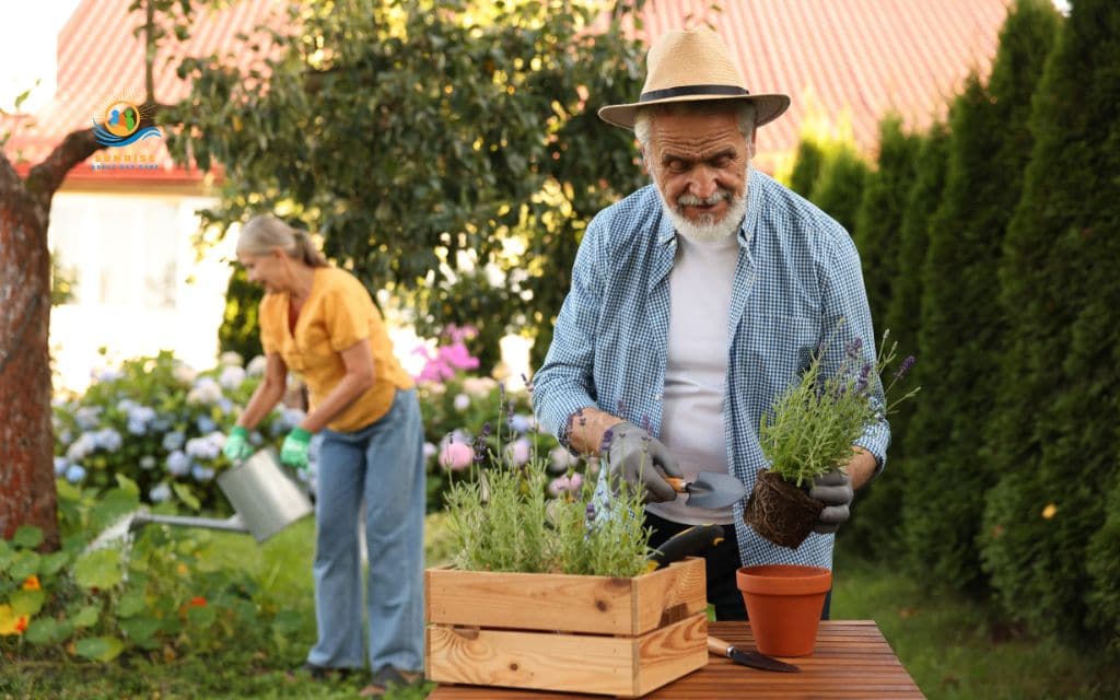 therapeutic activities for the elderly: Gardening