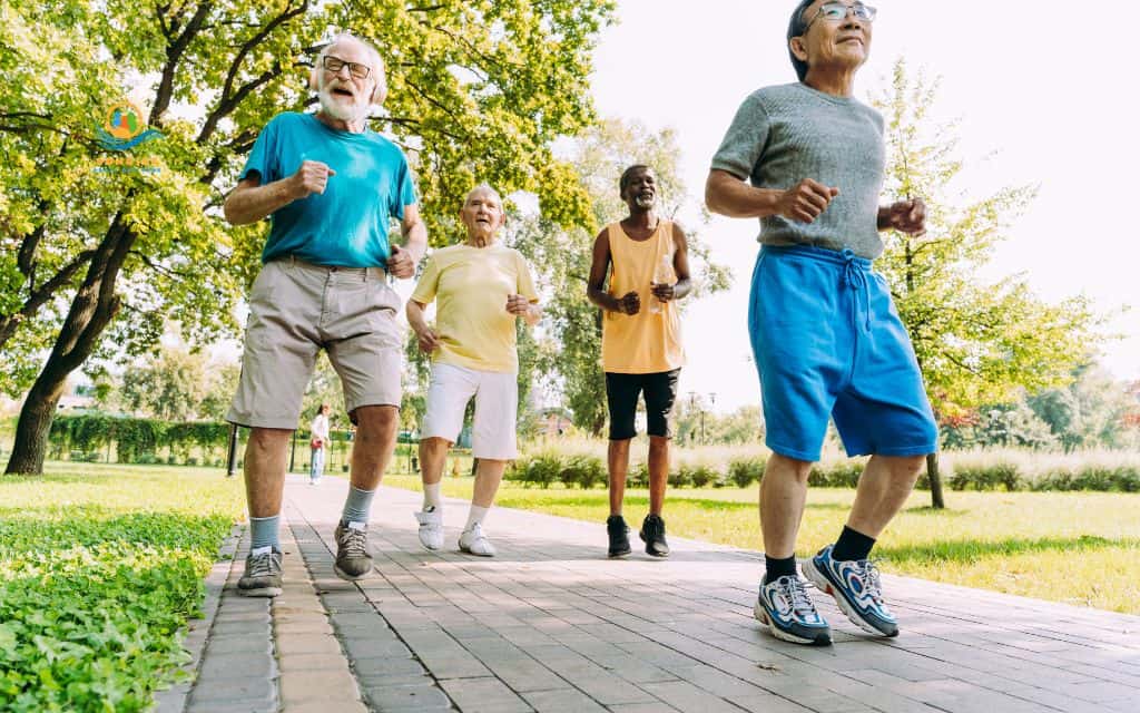 What are therapeutic activities for seniors?