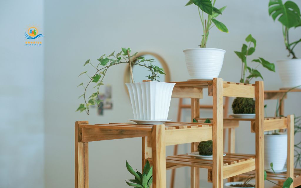 assisted living decorating ideas: Add indoor plants and flowers