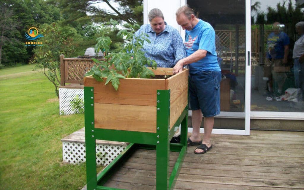Best plants for raised garden beds for seniors