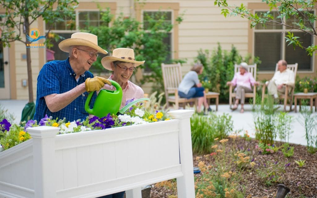Best types of raised garden beds for elderly