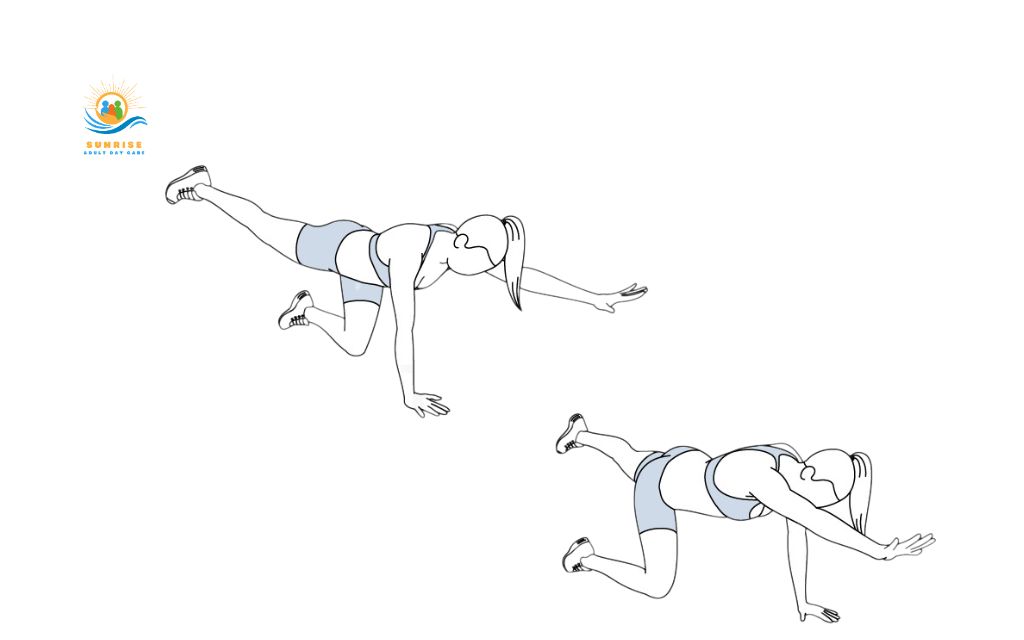 functional exercises for seniors: Bird dogs