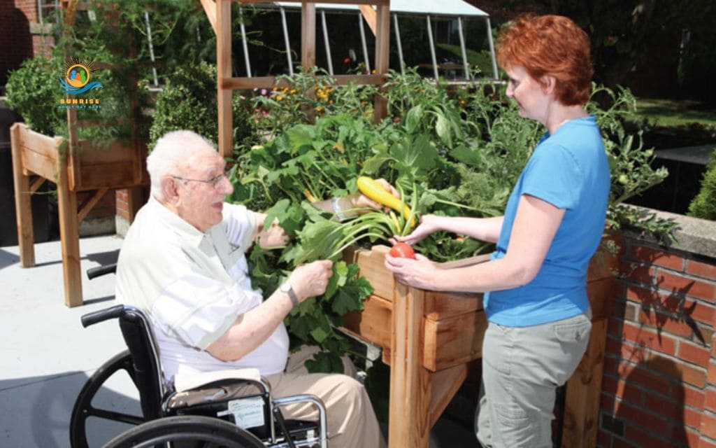 raised garden beds for elderly: Choosing the right material for your garden bed