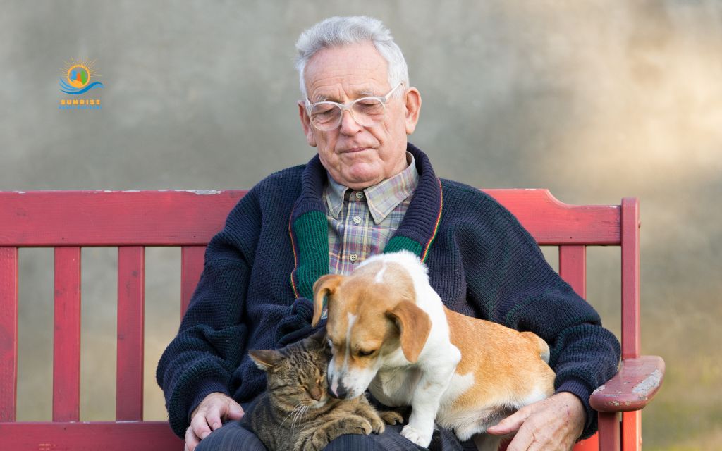 How to choose a pet for an elderly person