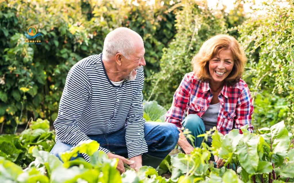 brain games for elderly: Identify botanicals