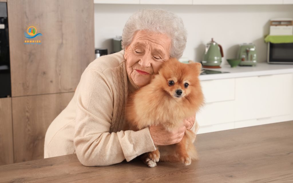 what are the best pets for elderly: Low-energy small dog breeds