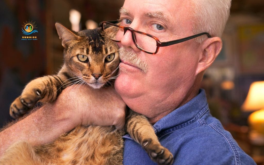 what are the best pets for elderly: Older cats