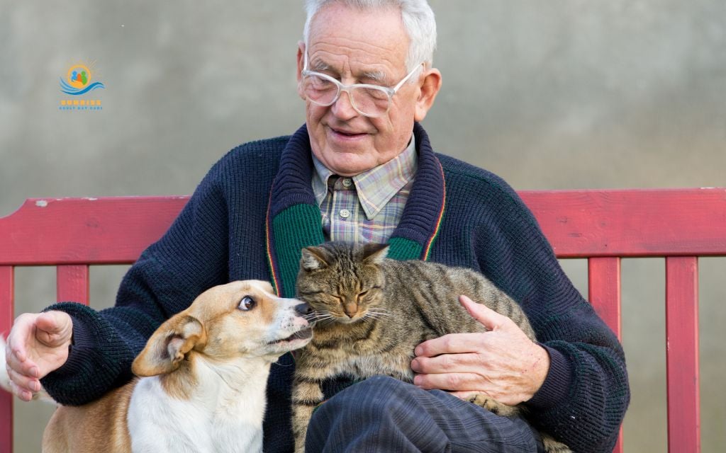activities for visually impaired seniors: Play with pets