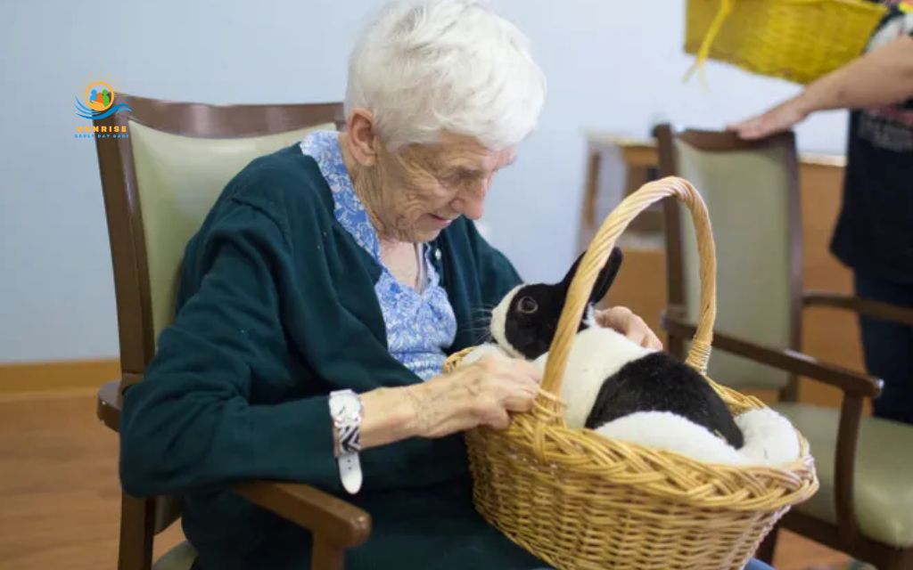 what are the best pets for elderly: Rabbits