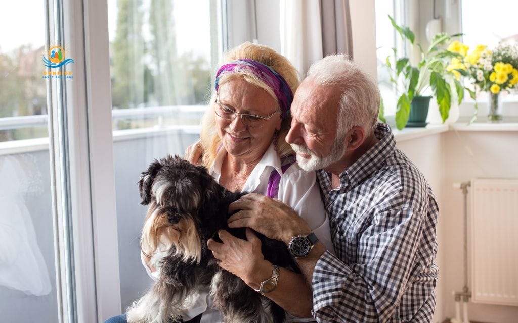 what are the best pets for elderly: Small or medium older dogs