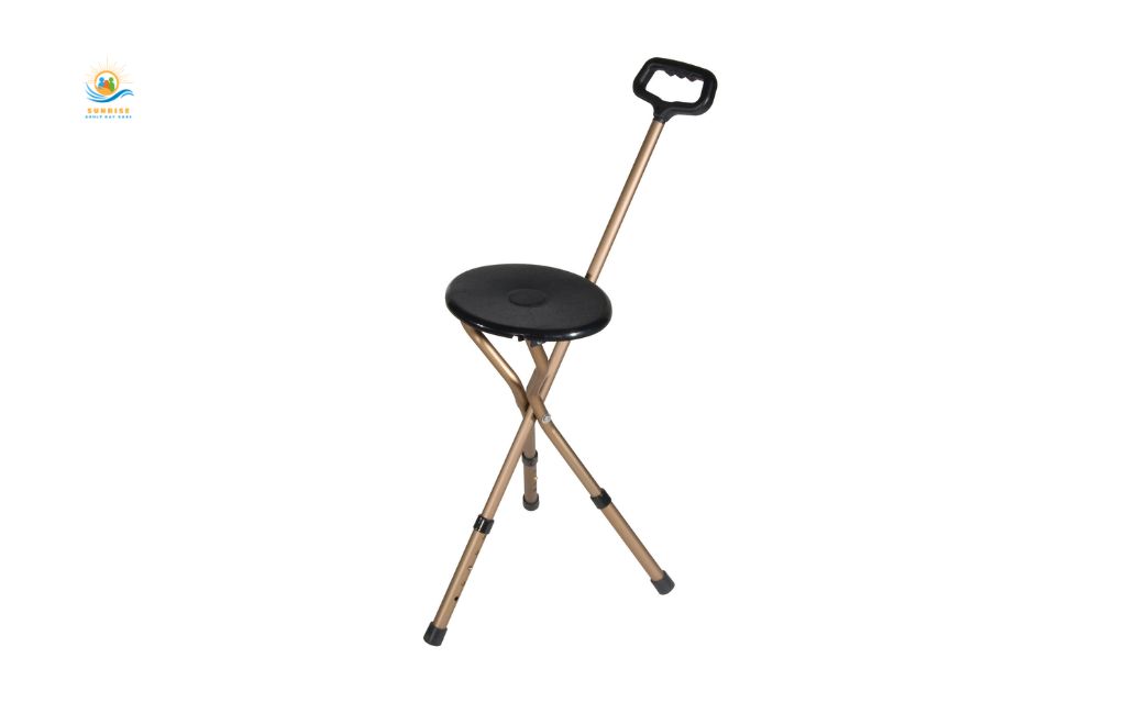 Types of walking canes: Seat canes