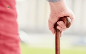 types of walking canes