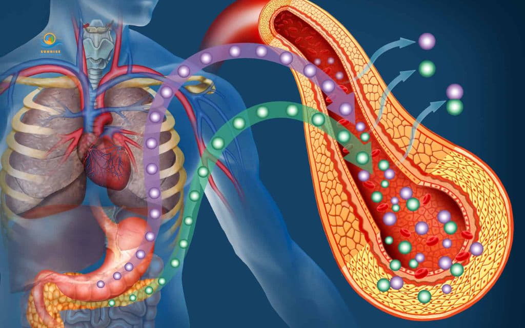 What is insulin resistance and how does it develop