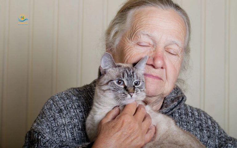 best cats for elderly