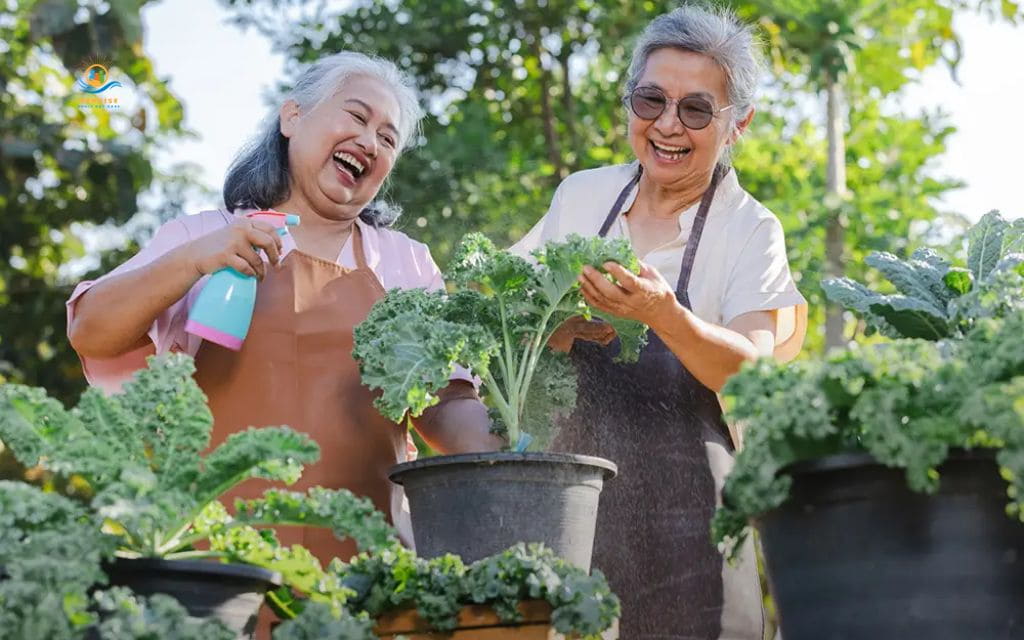 craft activities for seniors: Herb garden planting