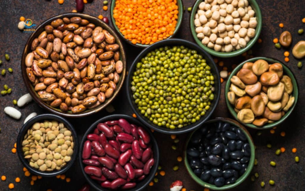 High protein foods for seniors: Best plant based protein foods for seniors
